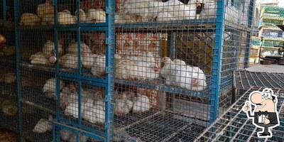 Sapthagiri Chicken Centre photo