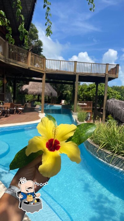 Comida em Bar Molhado