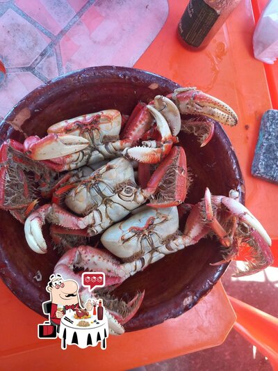 Os visitantes do Restaurante da Josefina podem provar diferentes pratos de frutos do mar