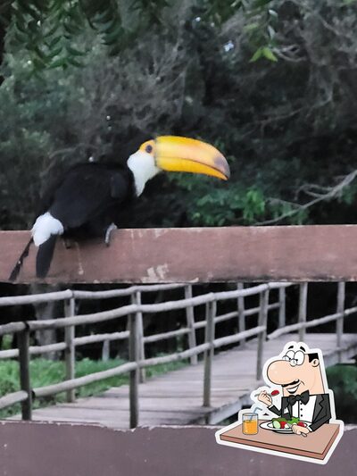 Comida em Chácara Lagoa