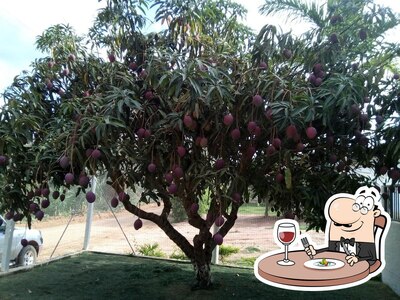 Platos en Fazenda angelo Roner uliana cedro
