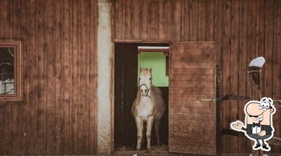 photo de Swiss Ranch