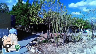 Veja imagens do exterior do Cactus