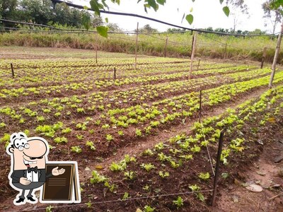 Veja imagens do exterior do Ângela Cantinho DA ROÇA