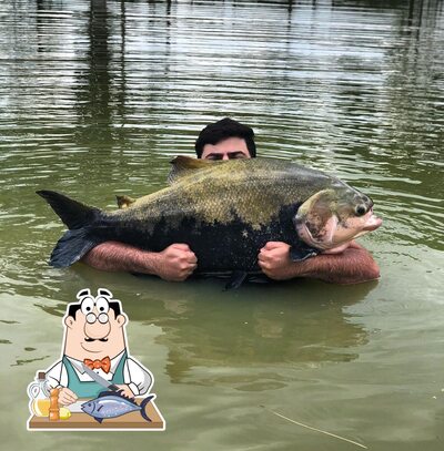 Pexe Gordo Pesqueiro e Restaurante fornece uma infinidade de refeições de peixe