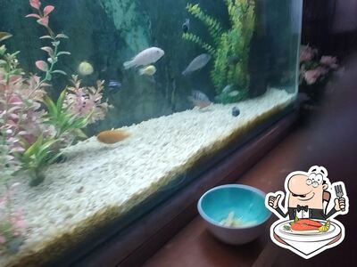 Há uma variedade de refeições de peixe