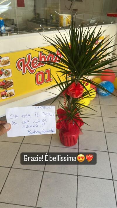 Leggi le informazioni su Kebab 01