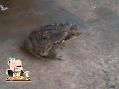 Comida em Rancho da Pamonha Brotas-SP