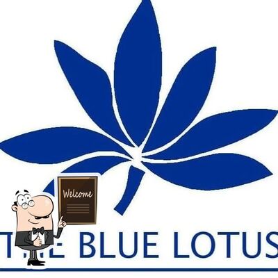 The visual representation of The Blue Lotus’s brand