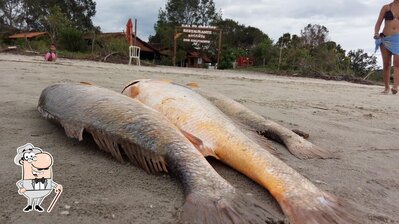 Veja imagens do exterior do Restaurante Recanto dos Golfinhos