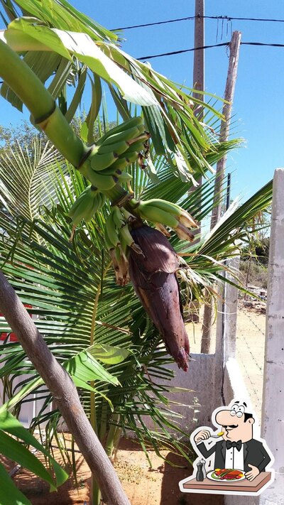 Comida em Rancho Caroá