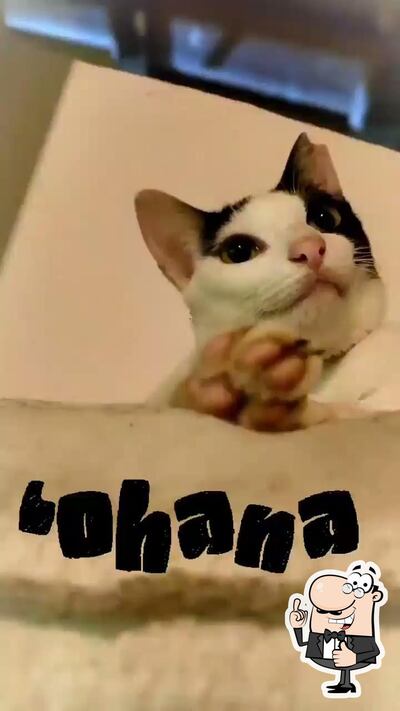 Toca da Ohana foto