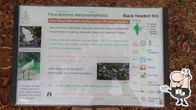 The advertisement displays information about Sai Chand Guest House