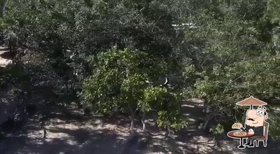 Você pode espairecer no exterior Prainha Bar