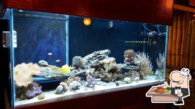 Escolha diferentes pratos de frutos do mar oferecidos no Okami Temakeria e Sushi