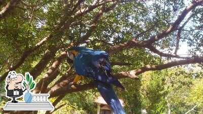 Você pode espairecer no na área externa do Pesqueiro Serra Azul