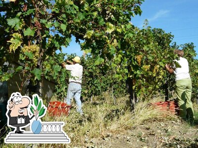 L'extérieur est une importante caractéristique de Azienda Agricola Savini