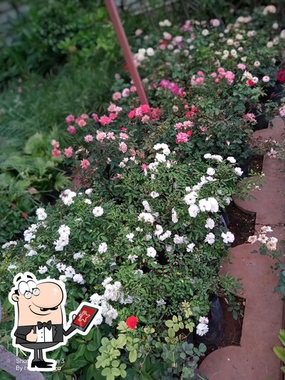 Check out how Ravi Restaurant Rajkot looks outside