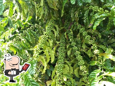 Veja imagens do exterior do Viveiro Bioclone