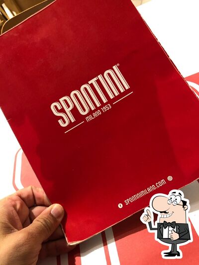 Spontini foto