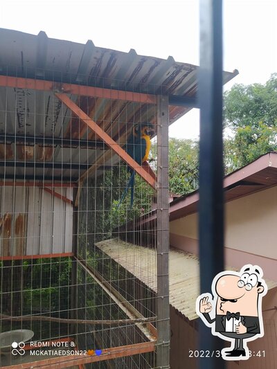 Banca da Alemoa foto
