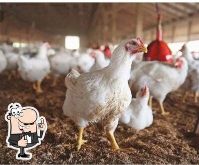 Ansiya Chicken Centre photo