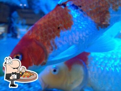C'è un'ampia gamma di piatti a base di pesce