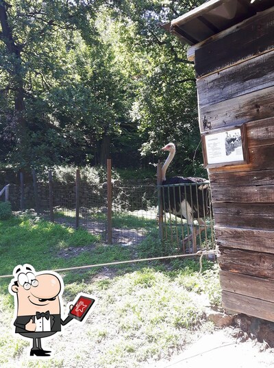 Goditi la vista dagli esterni di La Perulina