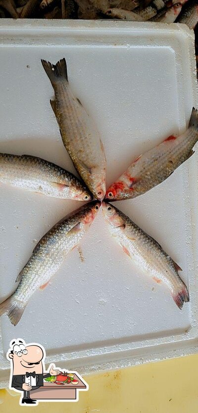 Savour the flavours of the sea at fishbot