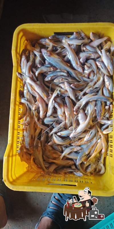 Riaz Muslim Hotel provides a variety of fish dishes