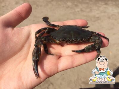 The visitors of Fishtail Beach Shack can enjoy various seafood dishes