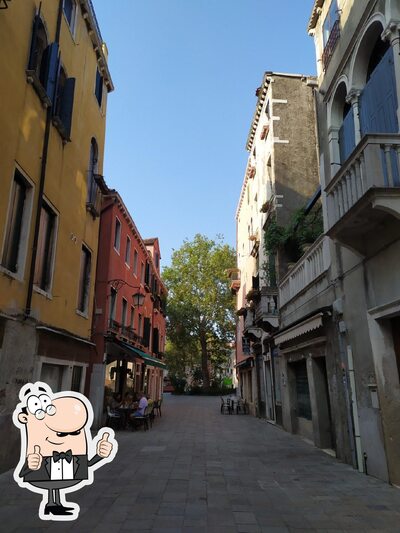 Majer foto