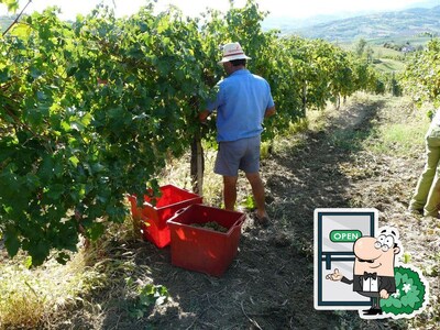 L'extérieur de Azienda Agricola Savini