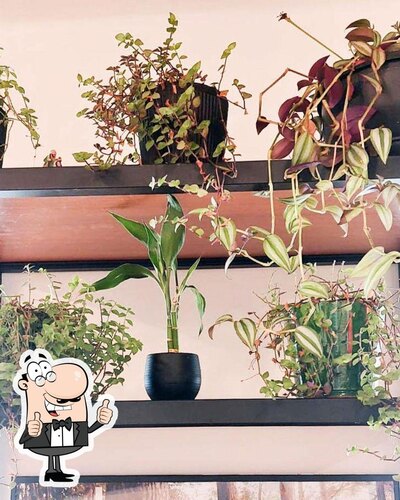 Tasty Salad Shop foto