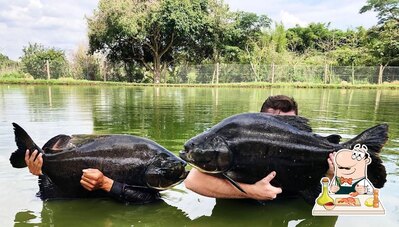 Experimente os sabores do mar no Pexe Gordo Pesqueiro e Restaurante