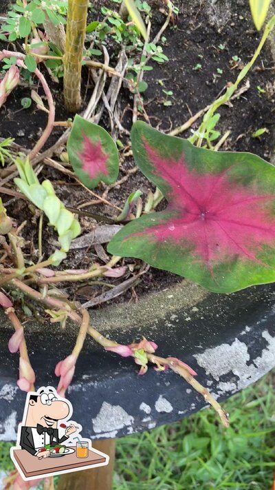 Comida em Rancho Sol & Lua - Recepções & Eventos