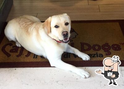 Caffè del Doge Vigonza foto