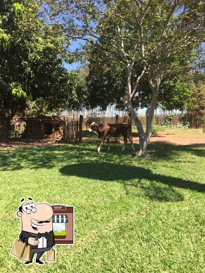 Descubra a área externa do Gosto Caipira