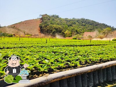 Veja imagens do exterior do Viveiro do Nenzin