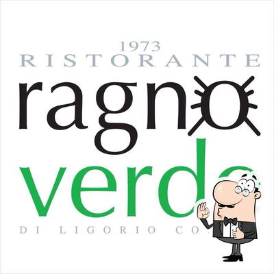 Ragno Verde foto
