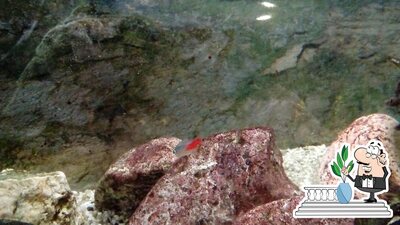 Puoi goderti l'aria fresca da seduto all'esterno di Bar Terris