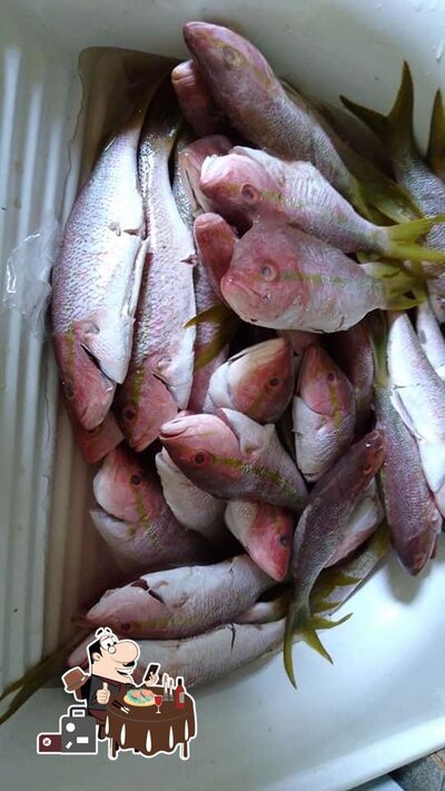 Há uma infinidade de pratos de peixe