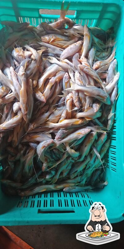 Pick fish dishes at Riaz Muslim Hotel