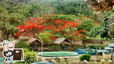 Veja imagens do exterior do Pesque e Pague