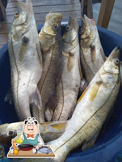 Lanchonete E Restaurante Sol E Mar Ariri oferece um menu para amantes de frutos do mar