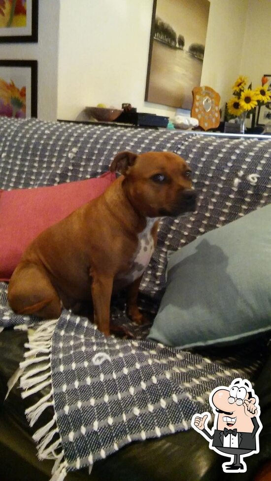 Menu at Trees Eco Fun Park cafe, Benoni