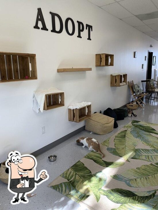 Menu at Cat Cafe Rescue, Chino Hills