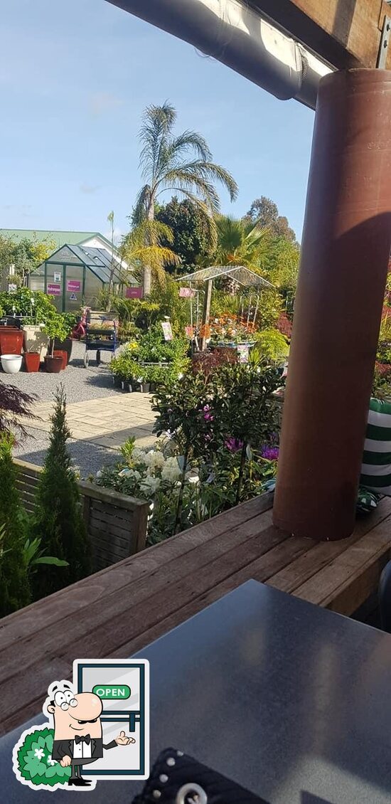 Menu at Bloom Cafe, Tauranga