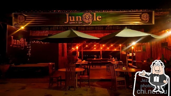 jungle kitchen and bar