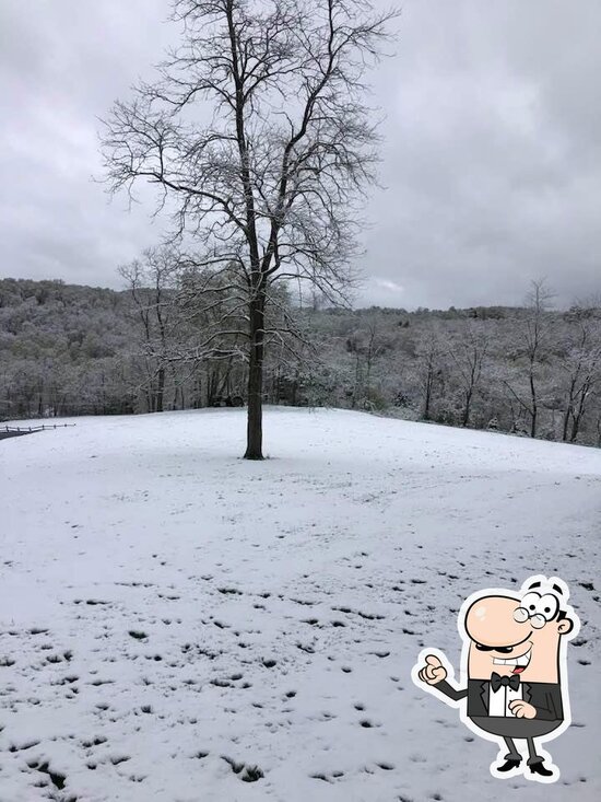 Hidden Acres Lodge & Winery in Mingo Junction Restaurant reviews